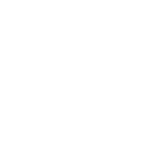 instgram icon white
